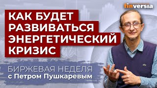 Как будет развиваться энергетический кризис / Петр Пушкарев