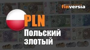 Видео-справочник: Все о Польском злотом (PLN) от Finversia.ru. Валюты мира.