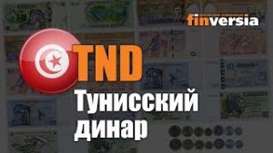 Видео-справочник: Все о Тунисском динаре (TND) от Finversia.ru. Валюты мира.